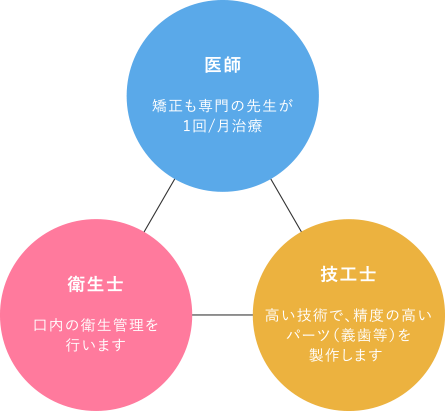 医師 矯正も専門の先生が 1回/月治療 衛生士 口内の衛生管理を 行います 技工士 高い技術で、精度の高いパーツ（義歯等）を製作します 