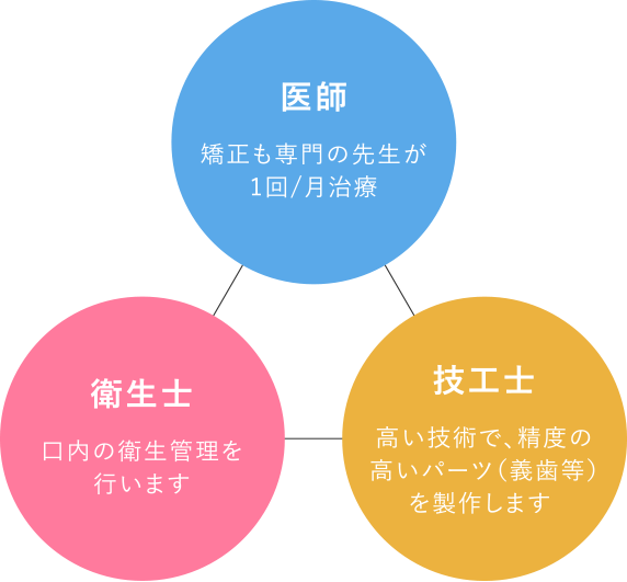 医師 矯正も専門の先生が 1回/月治療 衛生士 口内の衛生管理を 行います 技工士 高い技術で、精度の高いパーツ（義歯等）を製作します